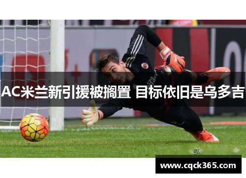 AC米兰新引援被搁置 目标依旧是乌多吉